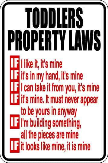 Toddlers Property Laws Sign Decal