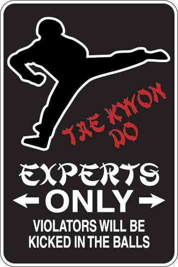 Tae Kwon Do Experts Only Sign Decal 1