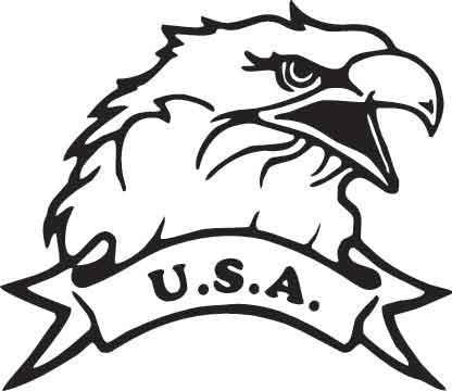 USA Eagle Decal
