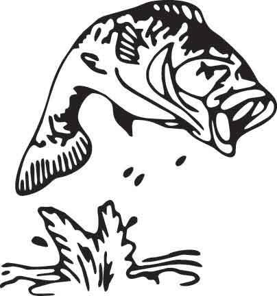 Fish Decal