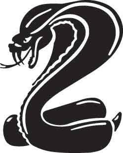 Cobra Decal 4