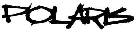 Polaris Decal