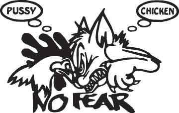 No Fear Decal